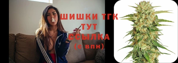 амф Белоозёрский