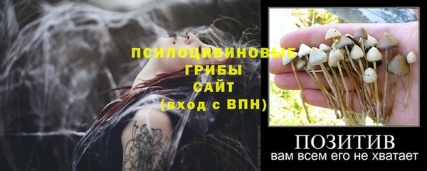 spice Беломорск