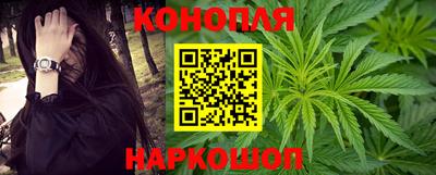 индика Беслан