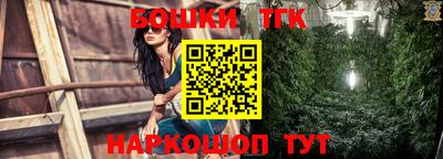 хмурый Бийск