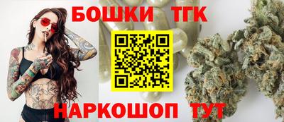 индика Беслан