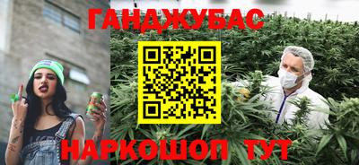 хмурый Бийск