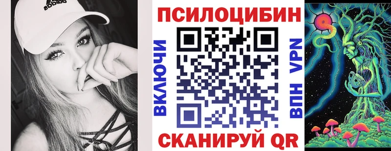 Галлюциногенные грибы Psilocybine cubensis Борзя