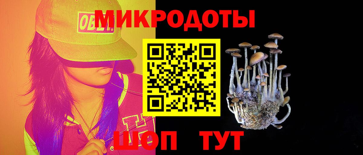 Псилоцибиновые грибы MAGIC MUSHROOMS  Вход с VPN  Борзя 